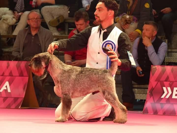 Stage Collectif Handling